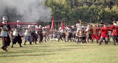 Rytíři koruny české